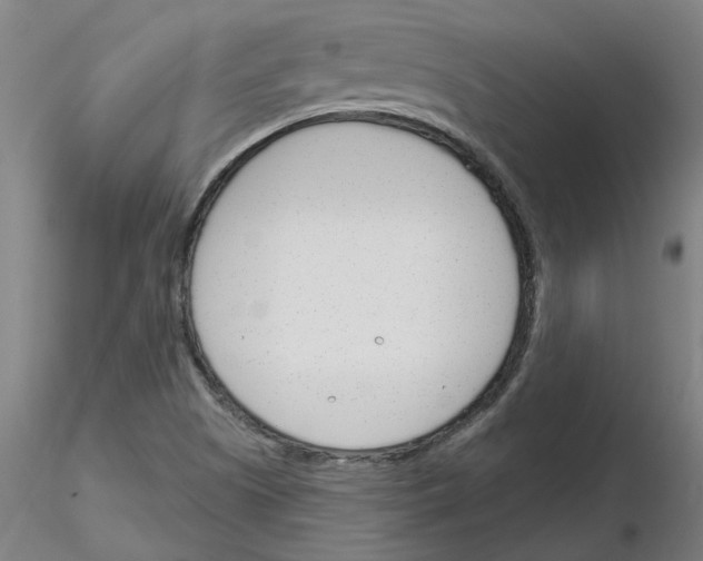 X0000116161505201001041103