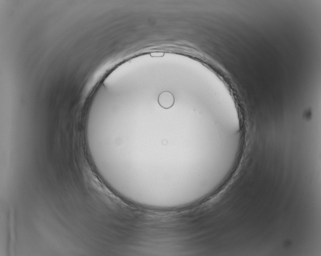 X0000116161506201001041103