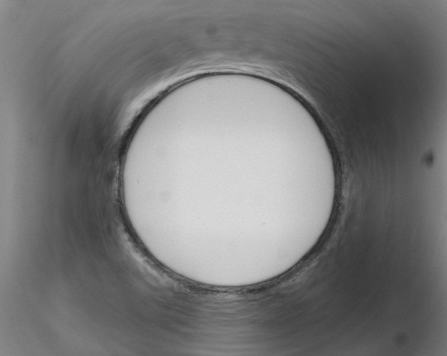 X0000116161507201001041103