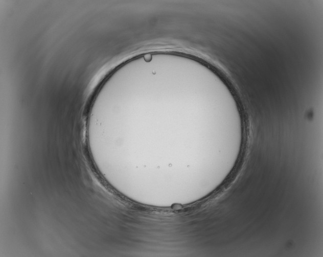 X0000116161509201001041103