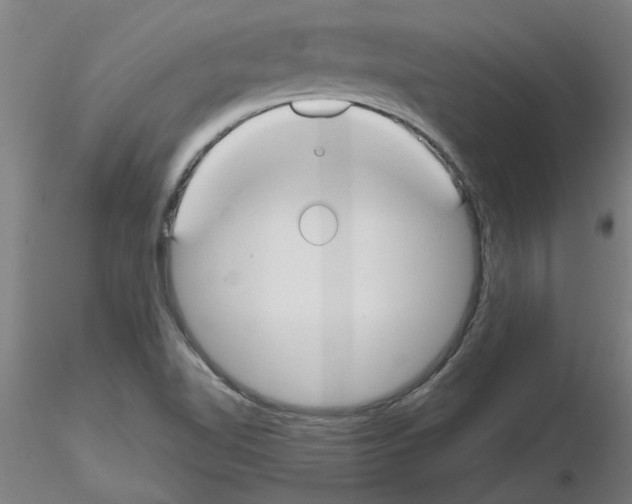 X0000116161510201001041103
