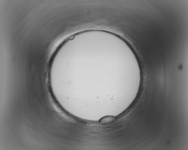 X0000116161511201001041103