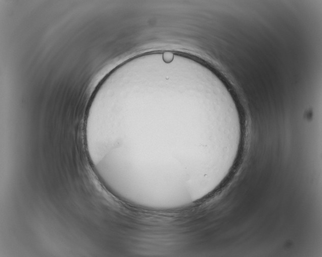 X0000116161513201001041103