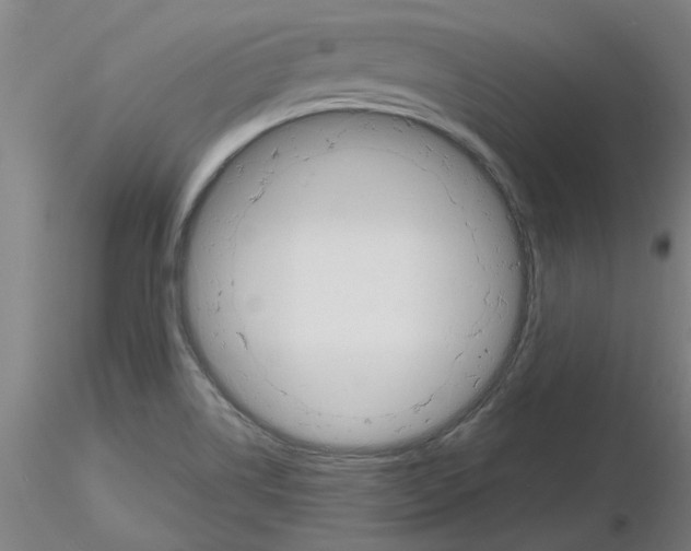 X0000116161514201001041103