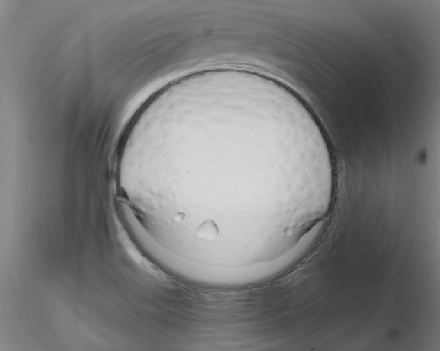 X0000116161515201001041103