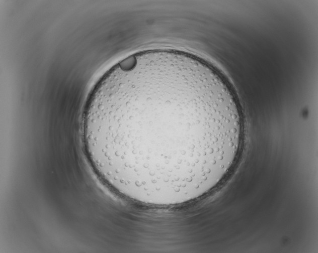X0000116161517201001041103