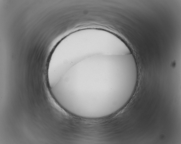 X0000116161518201001041103