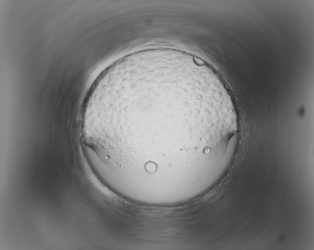 X0000116161519201001041103