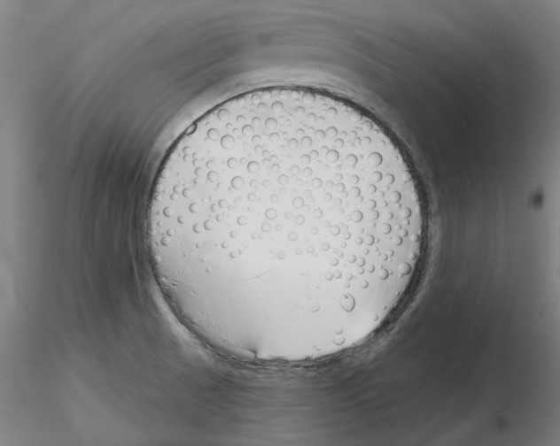 X0000116161521201001041103