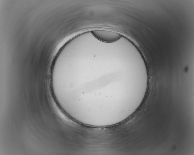 X0000116161523201001041103