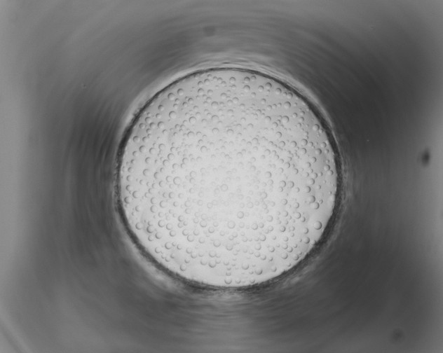 X0000116161525201001041103