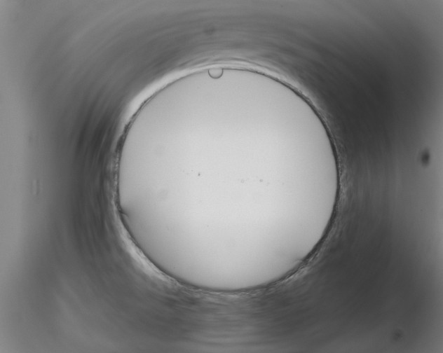 X0000116161526201001041103