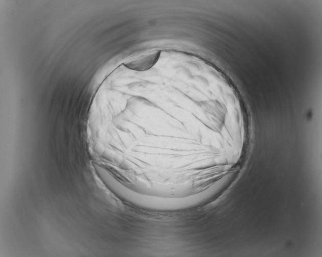 X0000116161529201001041104