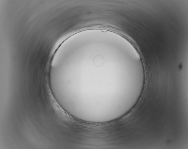 X0000116161530201001041104