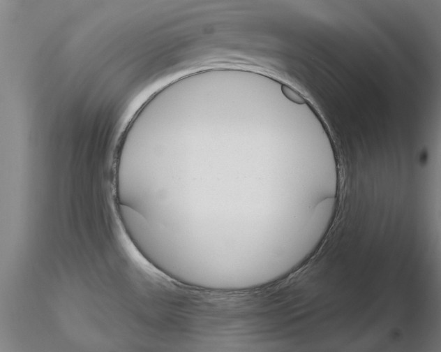 X0000116161531201001041104