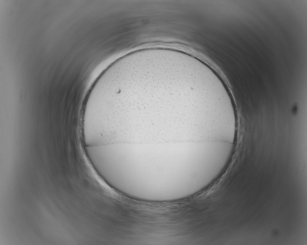X0000116161533201001041104