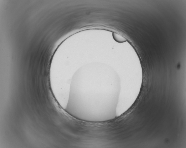 X0000116161534201001041104
