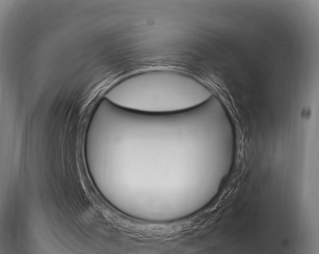 X0000116260001200911301004