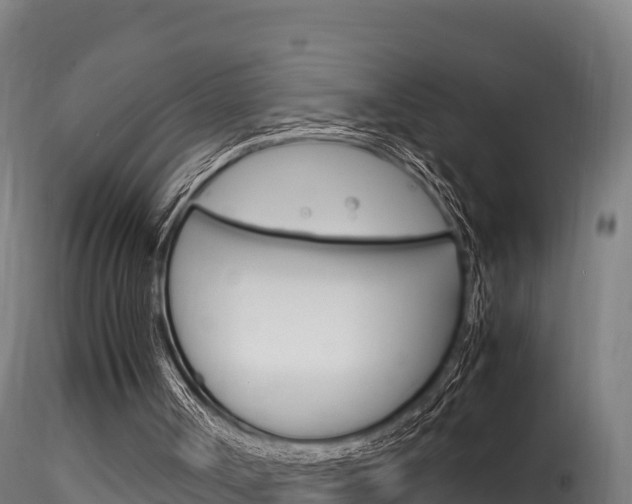 X0000116260002200911301004