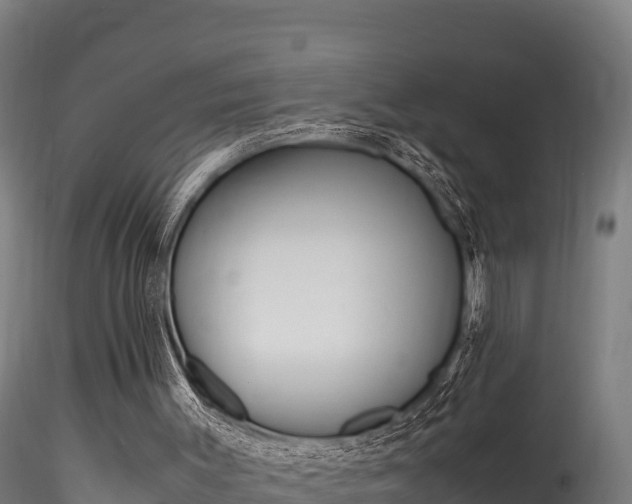 X0000116260003200911301004