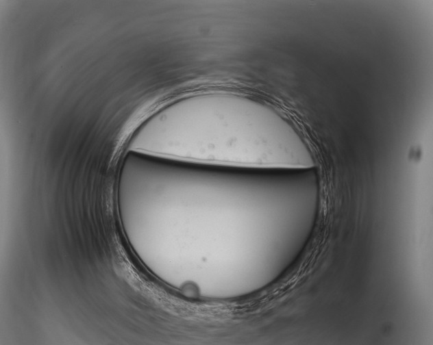 X0000116260004200911301004