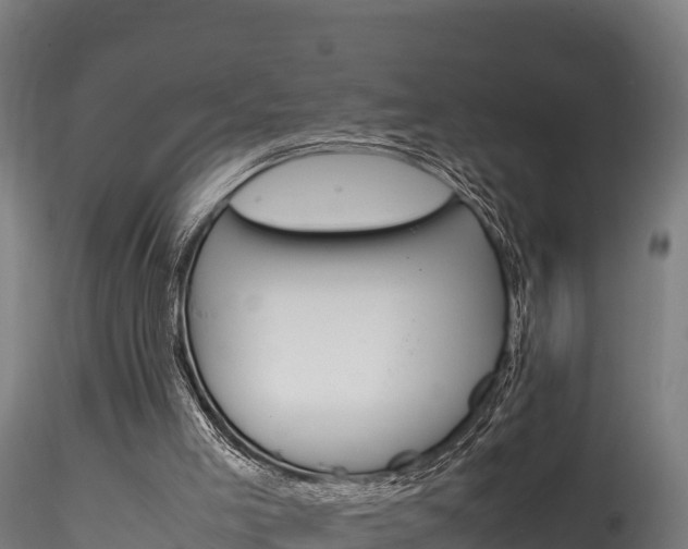 X0000116260005200911301003