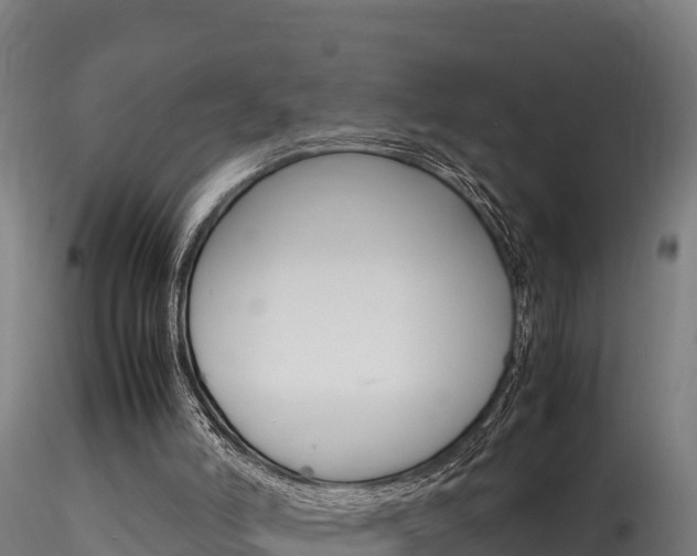 X0000116260006200911301003