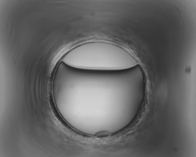 X0000116260007200911301003