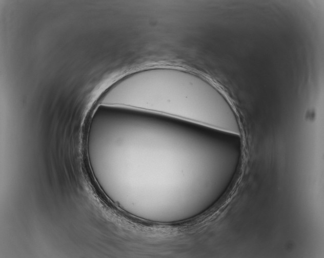 X0000116260008200911301003