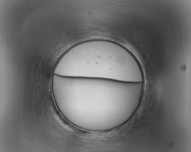 X0000116260009200911301003