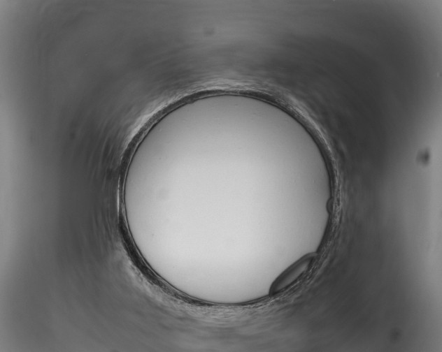 X0000116260011200911301003