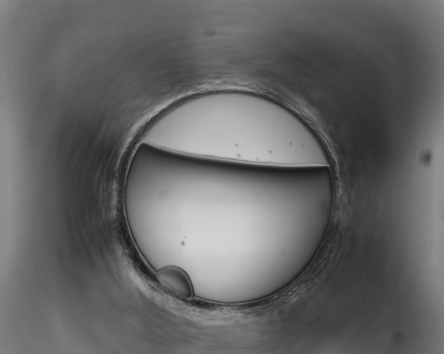 X0000116260012200911301003