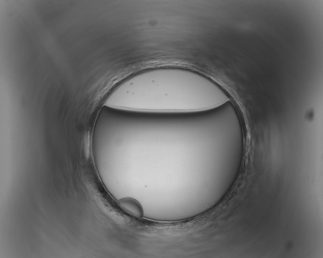 X0000116260013200911301003