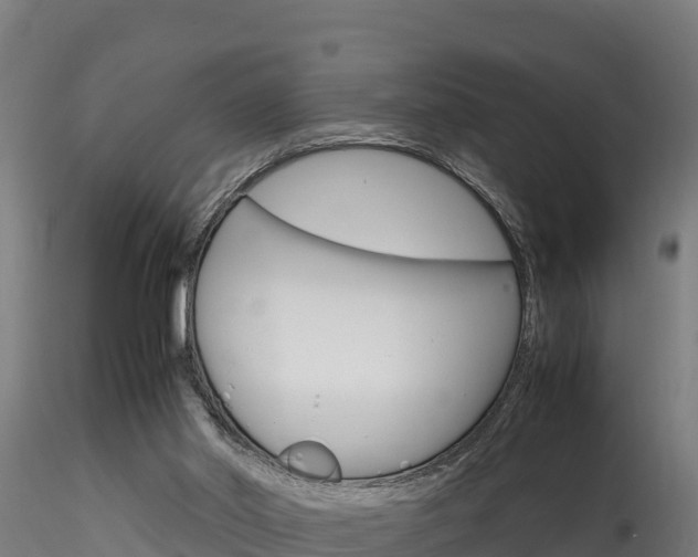 X0000116260014200911301003