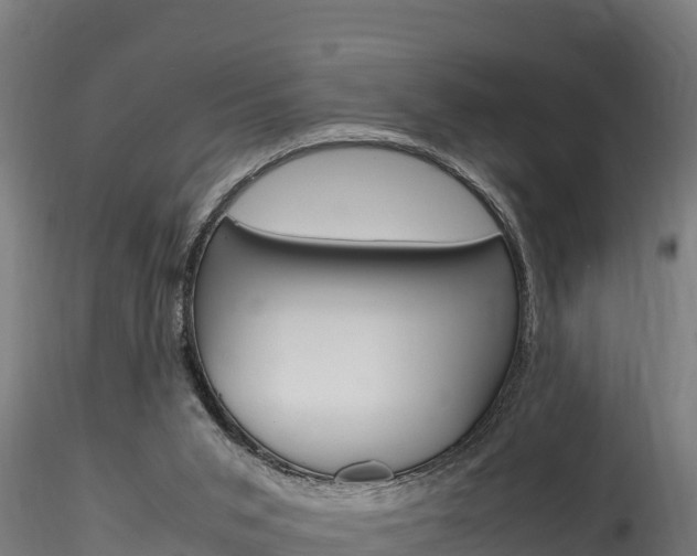 X0000116260015200911301003