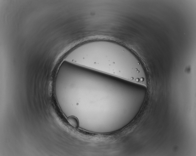 X0000116260016200911301003