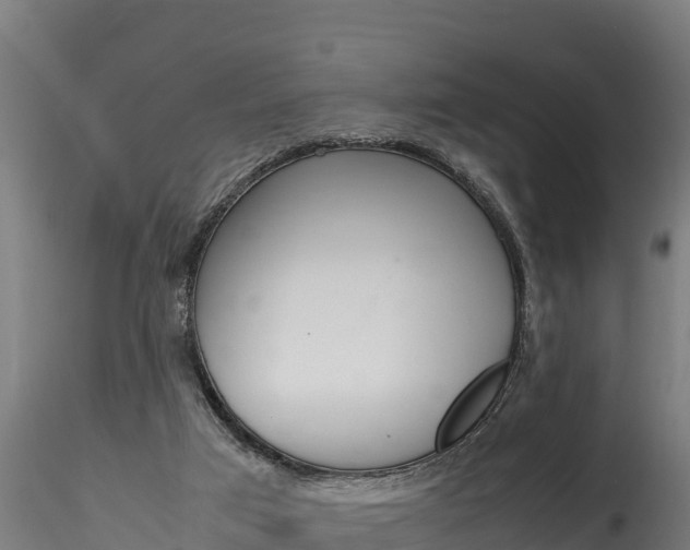 X0000116260017200911301003