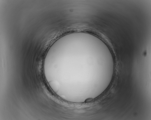 X0000116260018200911301003