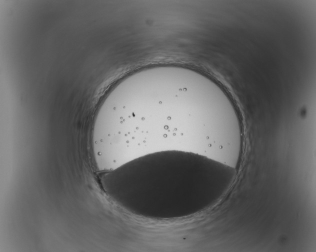 X0000116260019200911301003