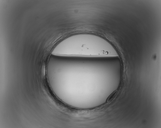 X0000116260021200911301003