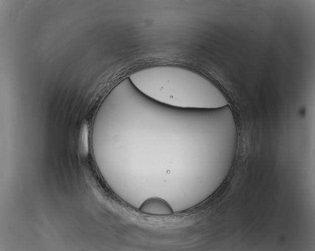 X0000116260022200911301003