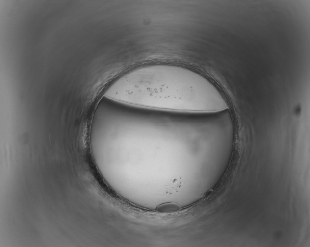 X0000116260023200911301003