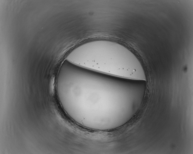 X0000116260024200911301003