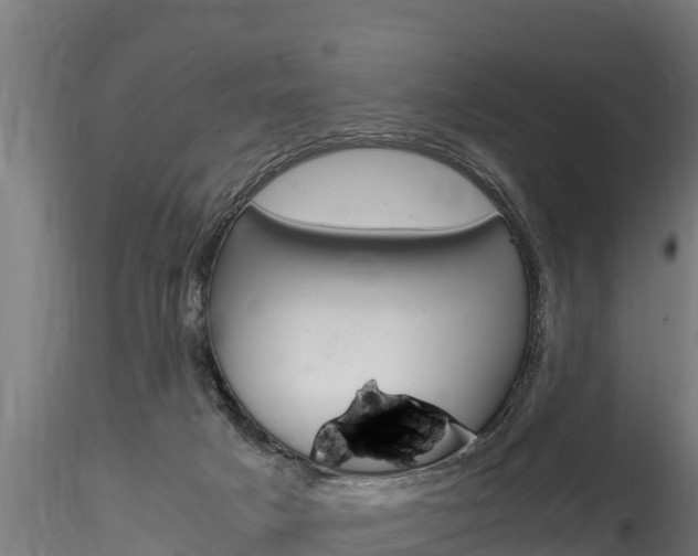 X0000116260025200911301003