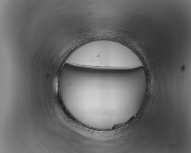 X0000116260027200911301003
