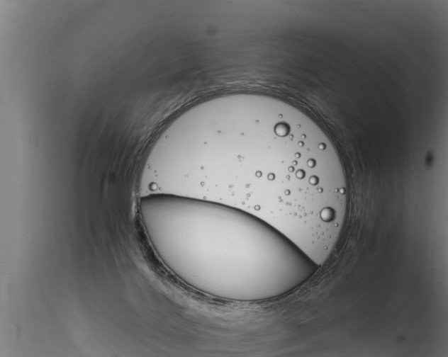 X0000116260028200911301003