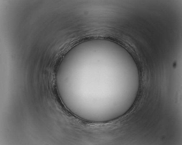 X0000116260029200911301003
