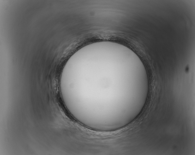 X0000116260031200911301003