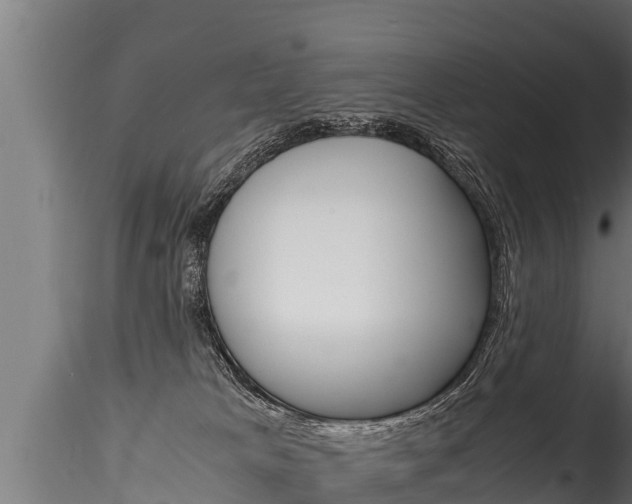 X0000116260037200911301003