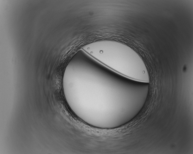 X0000116260039200911301003